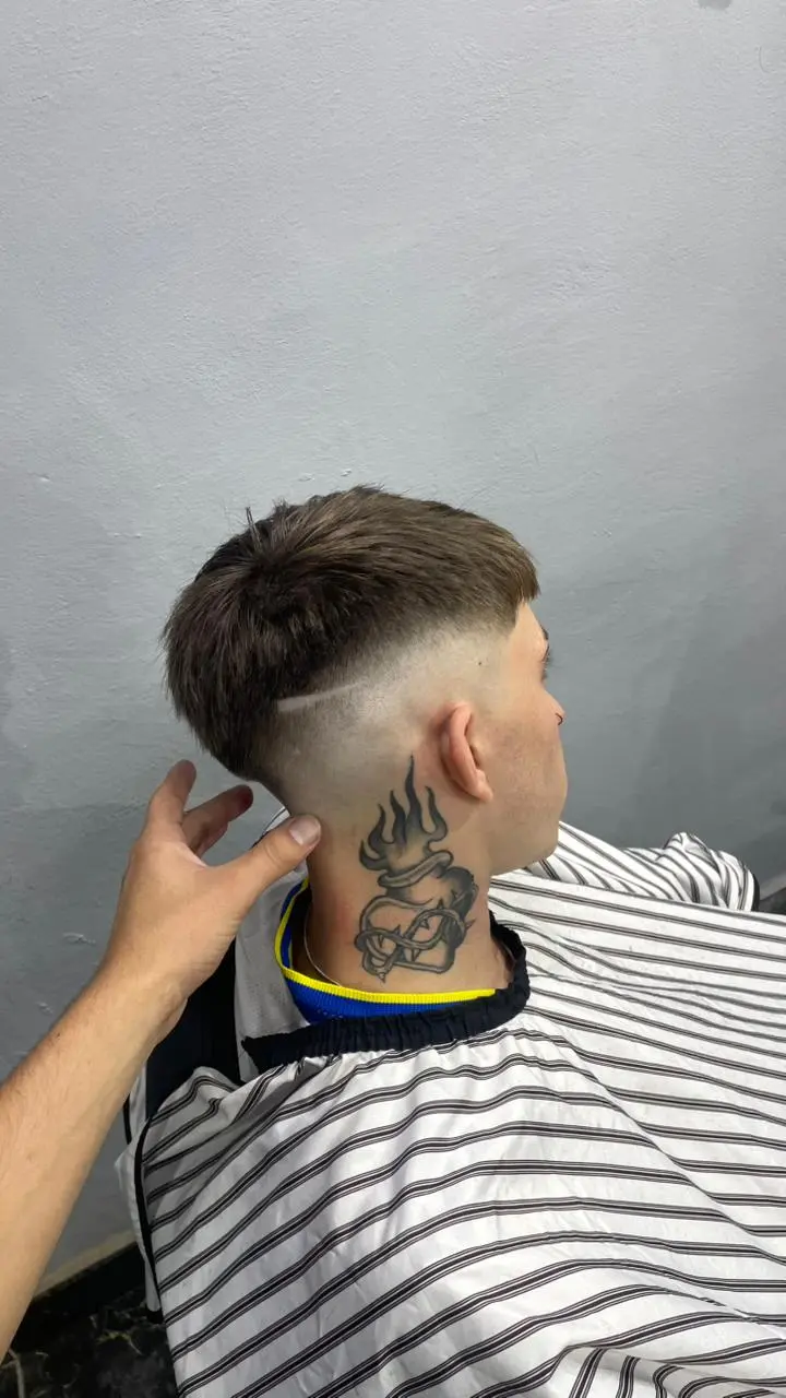 Corte 8